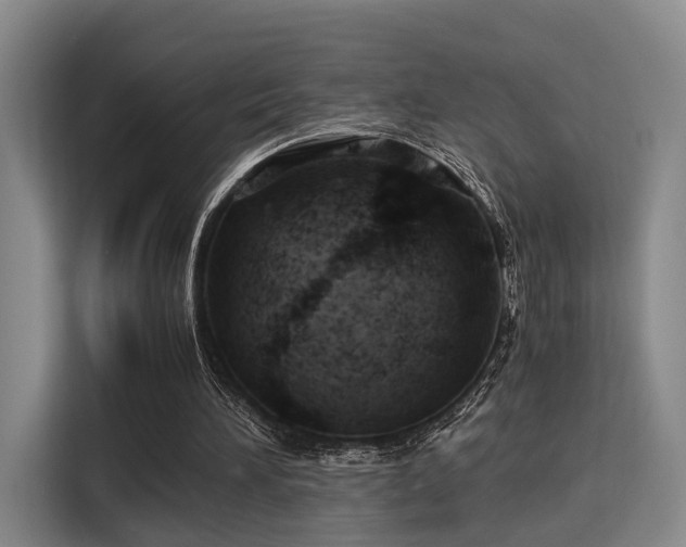 X0000115820196200911201452