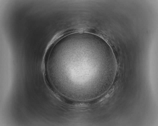 X0000115820198200911201452