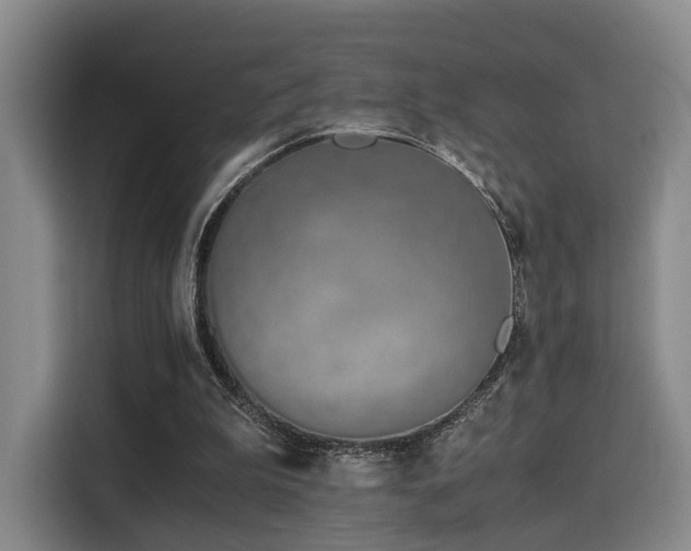 X0000115820199200911201452