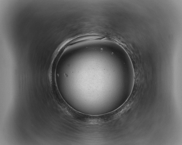 X0000115820200200911201452