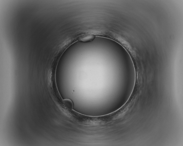 X0000115820201200911201452