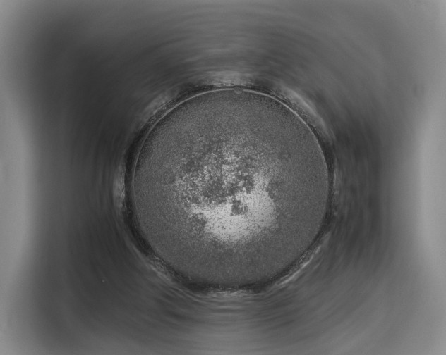 X0000115820202200911201452