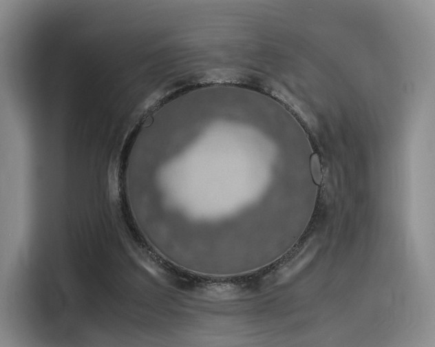 X0000115820203200911201452