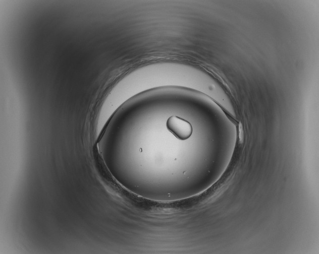 X0000115820205200911201452