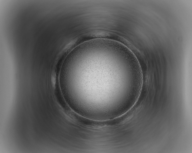 X0000115820206200911201452