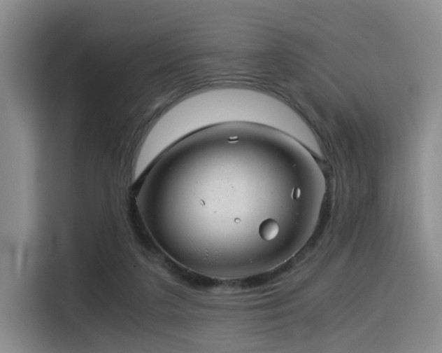 X0000115820211200911201452