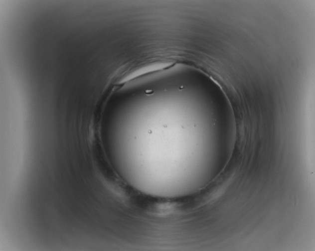 X0000115820216200911201452