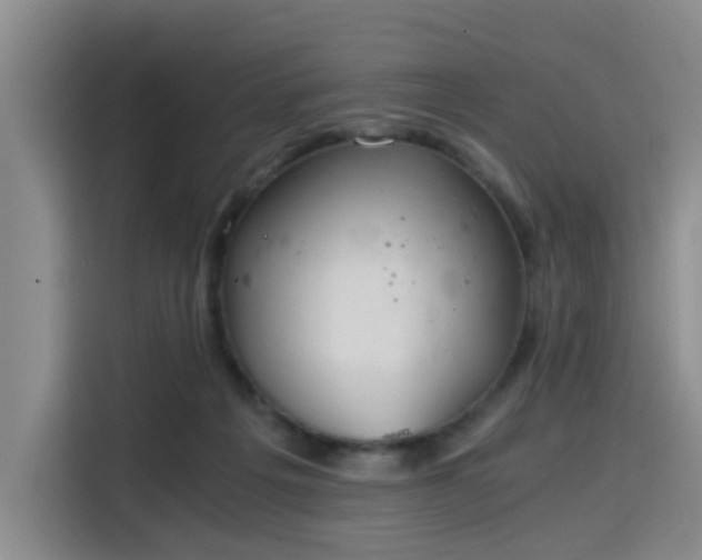 X0000115820217200911201452