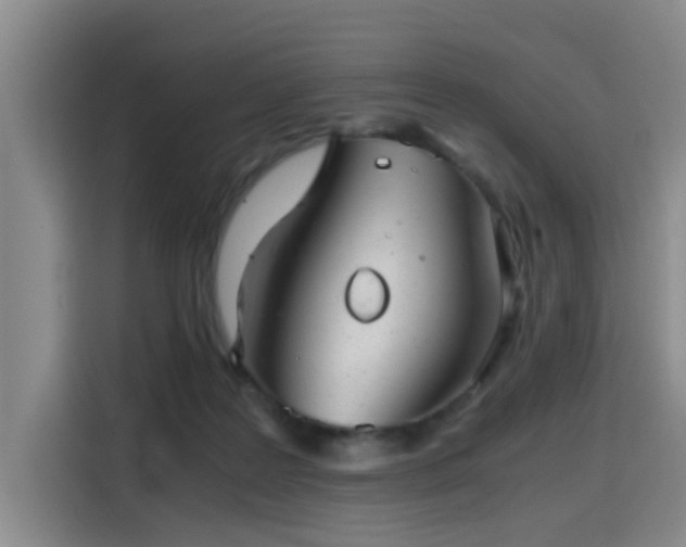 X0000115820219200911201452