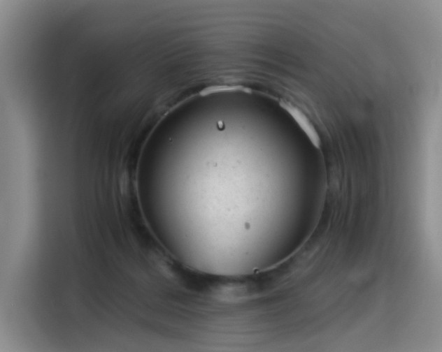 X0000115820220200911201452