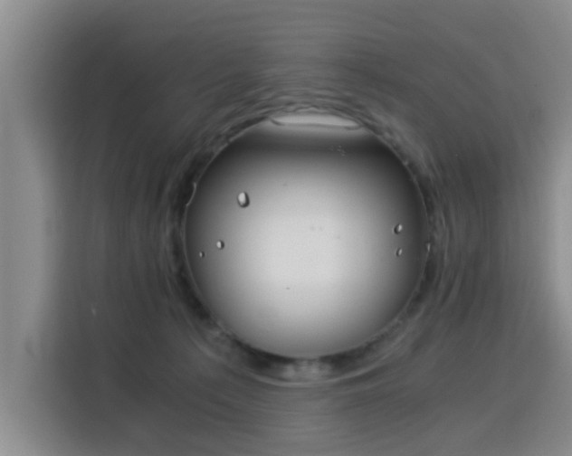 X0000115820225200911201452