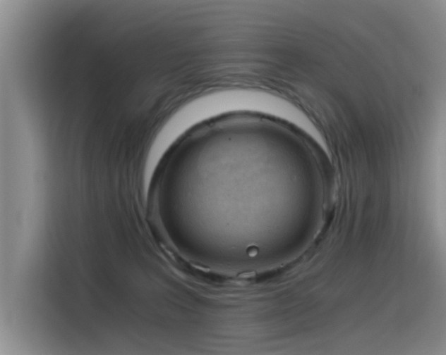 X0000115820227200911201451