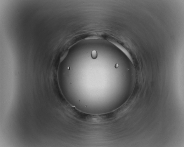 X0000115820229200911201451