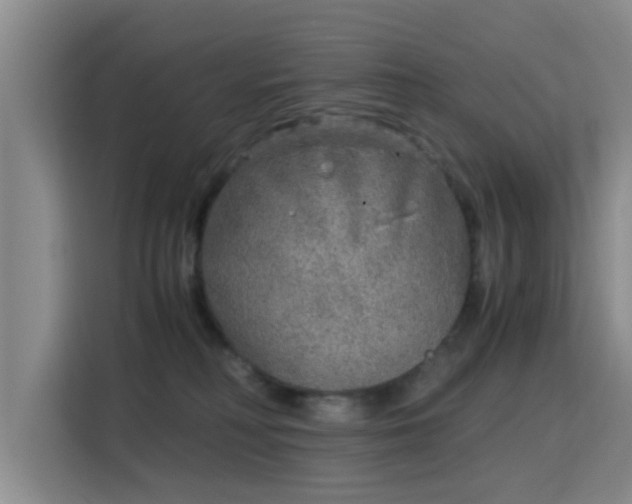 X0000115820230200911201451