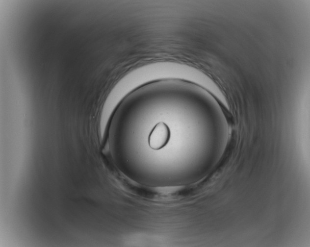 X0000115820231200911201451