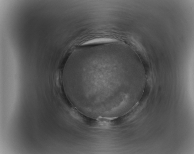 X0000115820233200911201451