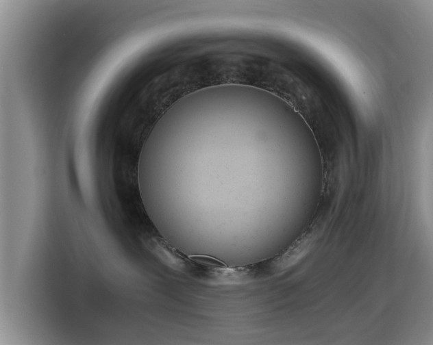 X0000115820239200911201451