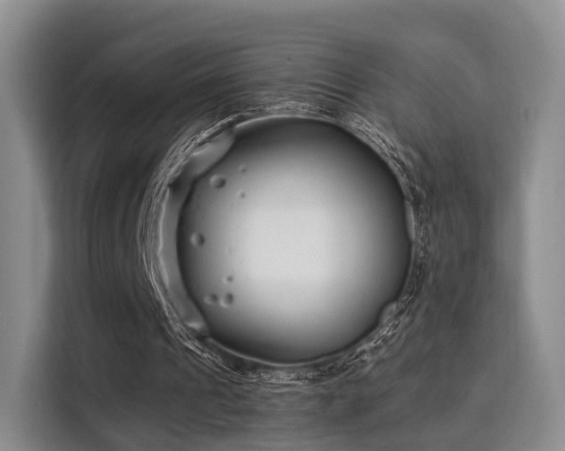 X0000115820241200911201451