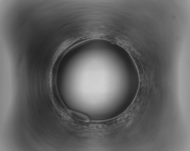 X0000115820242200911201451