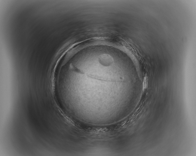 X0000115820243200911201451