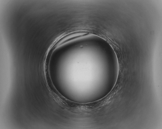 X0000115820244200911201451