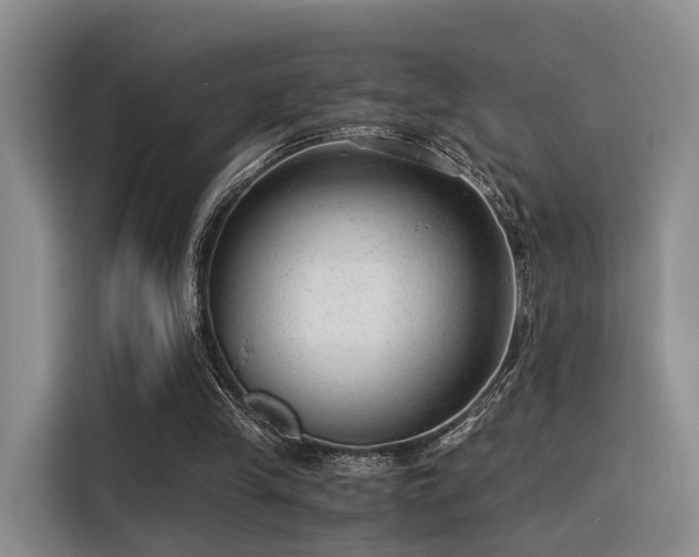 X0000115820245200911201451