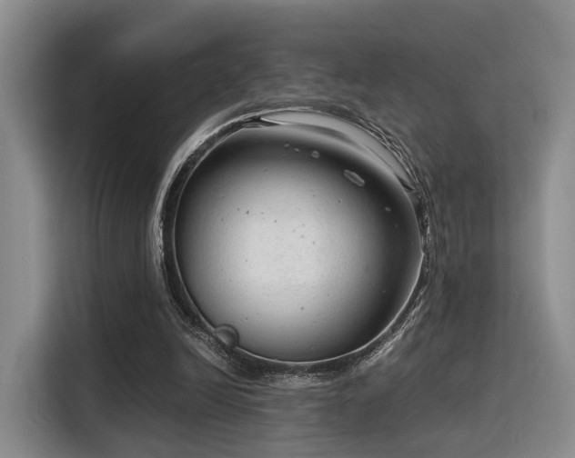 X0000115820246200911201451