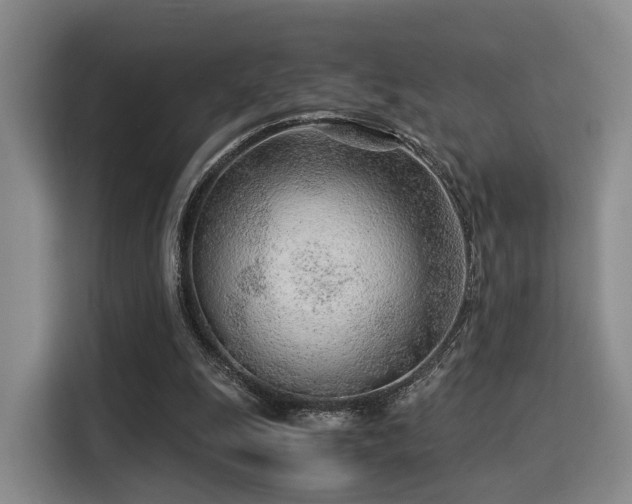 X0000115820247200911201451