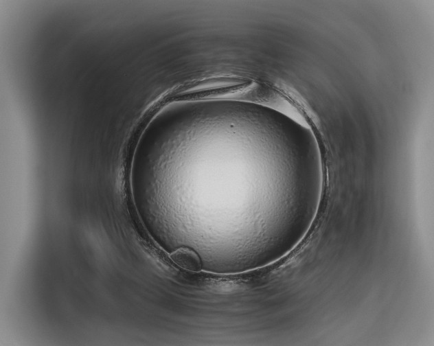 X0000115820249200911201451