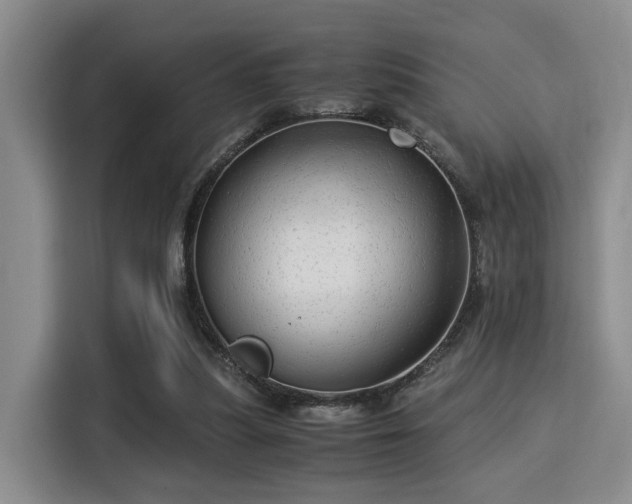 X0000115820251200911201451