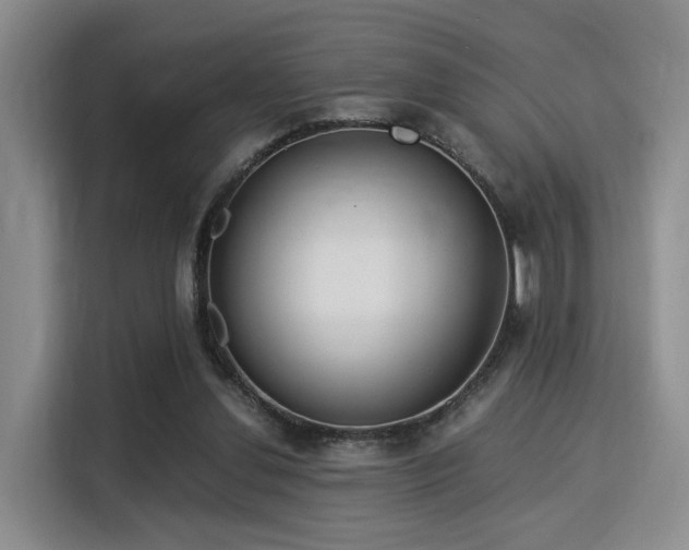 X0000115820252200911201451