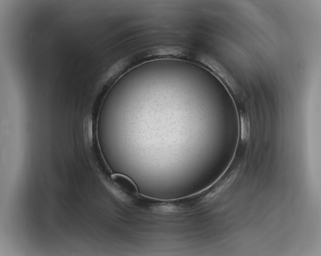 X0000115820253200911201451