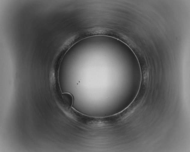 X0000115820254200911201451