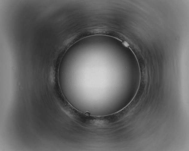 X0000115820255200911201451