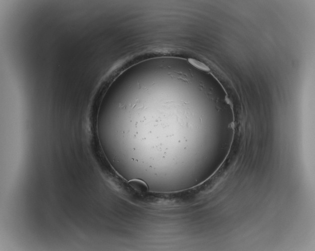 X0000115820256200911201451