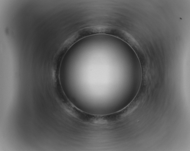 X0000115820258200911201451