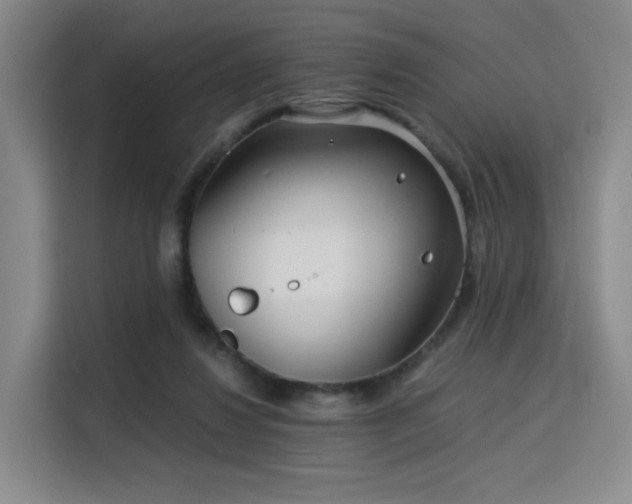 X0000115820260200911201451