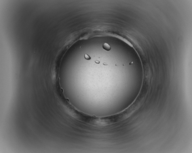 X0000115820261200911201451