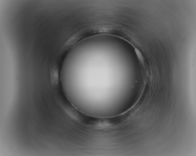 X0000115820262200911201451