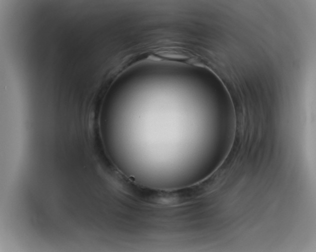 X0000115820263200911201451