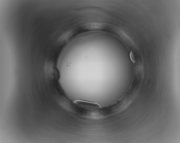 X0000115820264200911201451