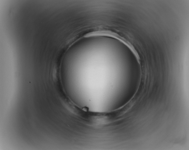 X0000115820266200911201451