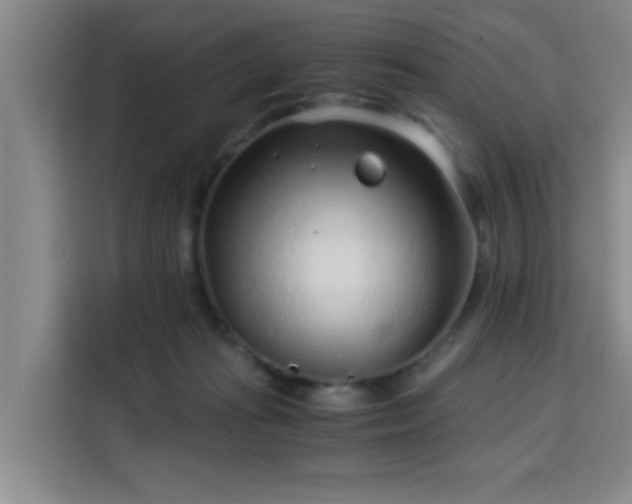 X0000115820269200911201451