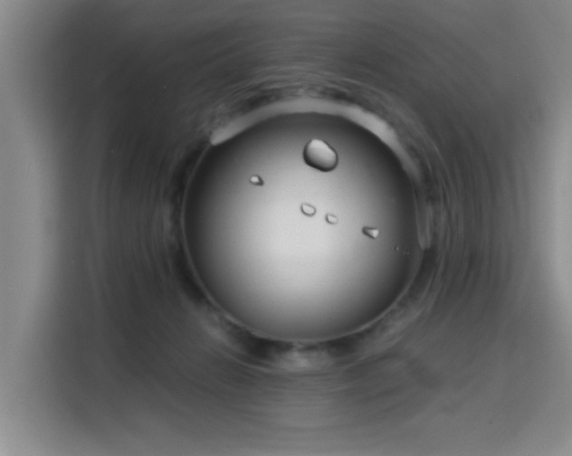 X0000115820270200911201451