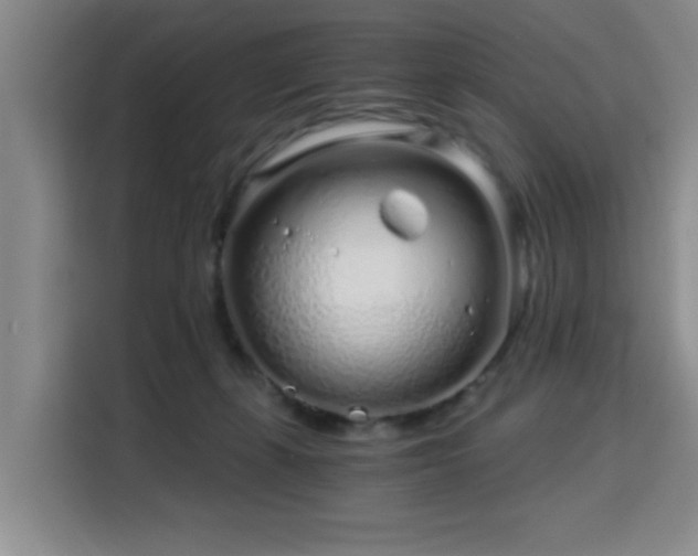 X0000115820271200911201451