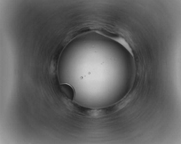 X0000115820273200911201451