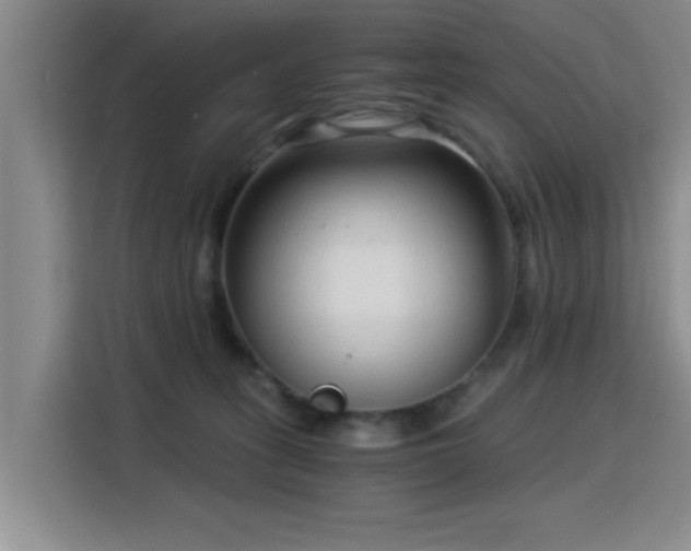 X0000115820275200911201451