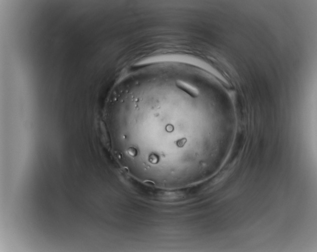 X0000115820277200911201451