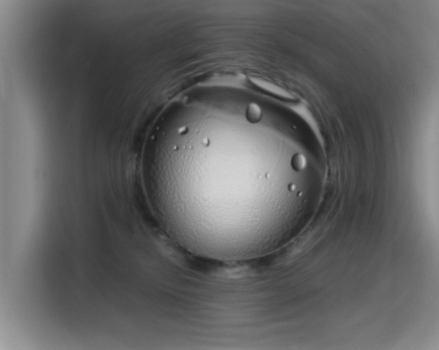 X0000115820278200911201451