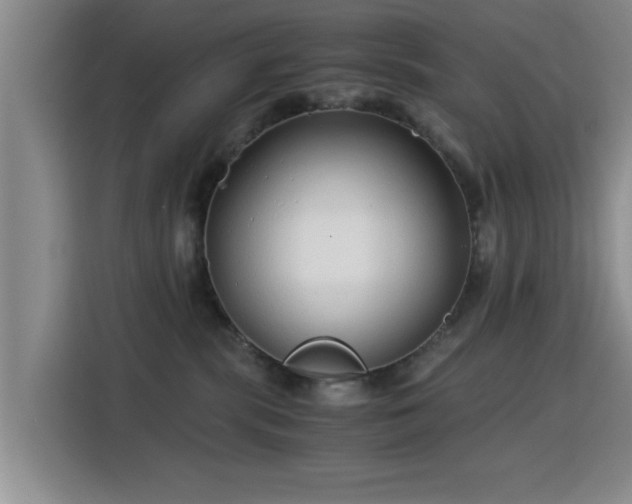 X0000115820283200911201451